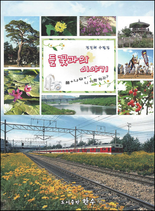 들꽃과의 이야기